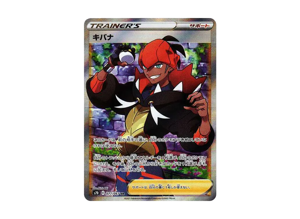 Raihan SR[S7D 077/067](Expansion Pack"Skyscraping Perfection") - PSA10
